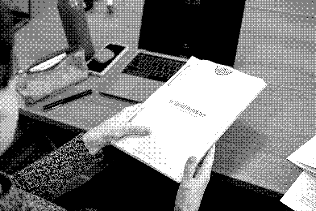 Ecologies of LLM Practices: an inquiry on daily professional usage of LLMs