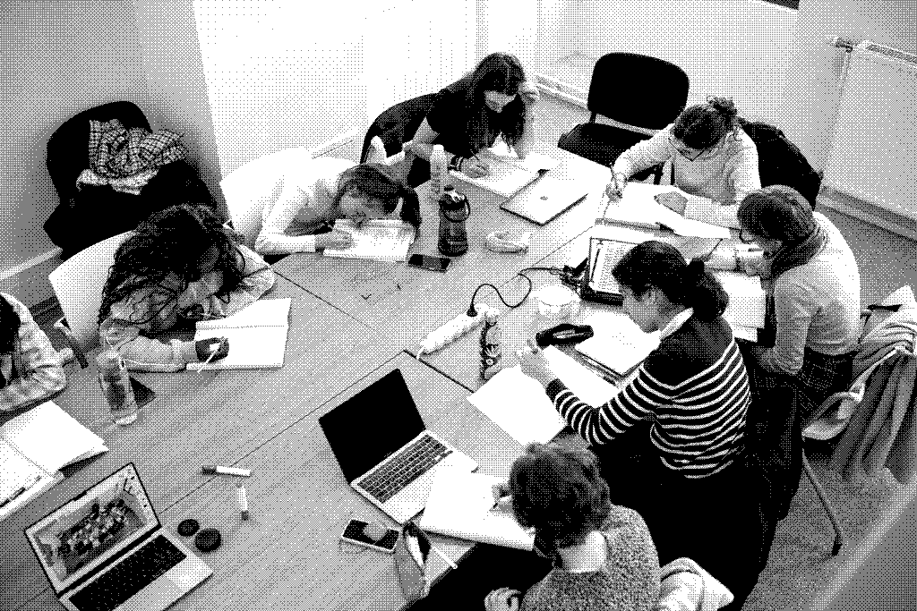 Ecologies of LLM Practices: an inquiry on daily professional usage of LLMs