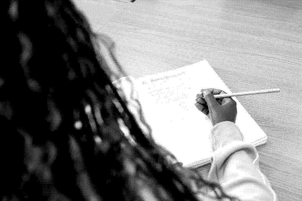 Ecologies of LLM Practices: an inquiry on daily professional usage of LLMs